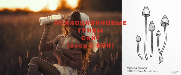 крисы Дмитров