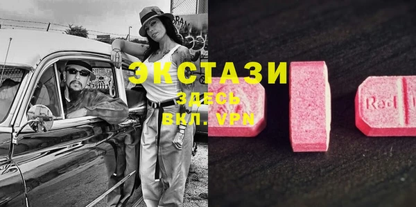 крисы Дмитров