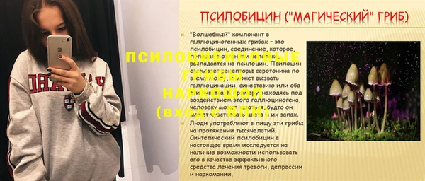 экстази Гусь-Хрустальный