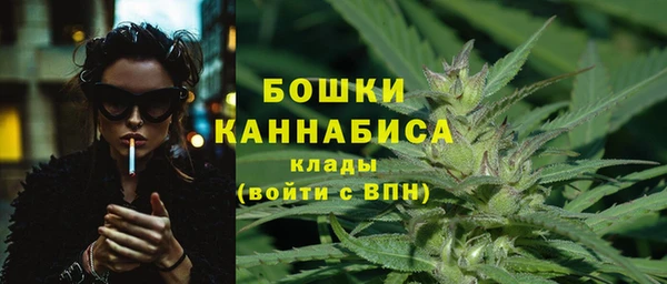 молекула духа Белая Холуница