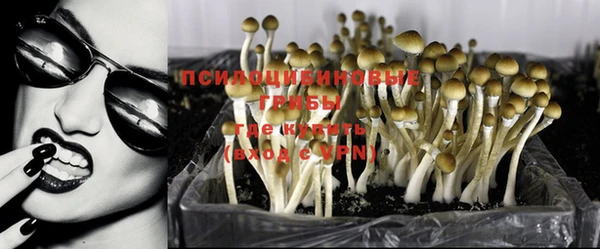 меф Дмитриев