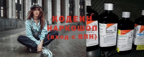 молекула духа Белая Холуница
