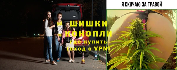 крисы Дмитров