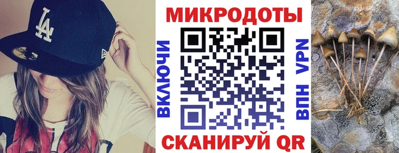 наркота  Калач  Галлюциногенные грибы Cubensis 